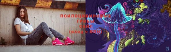 крисы Новокубанск