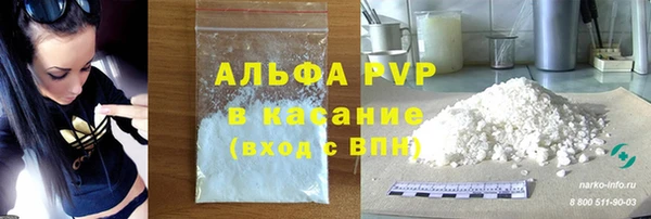 крисы Новокубанск