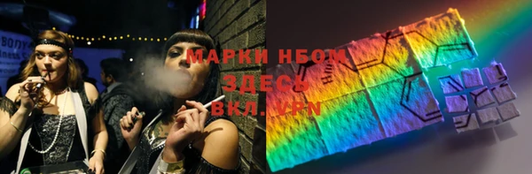 шишки Новозыбков