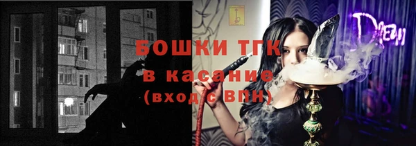 крисы Новокубанск