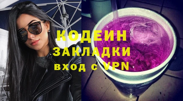 шишки Новозыбков