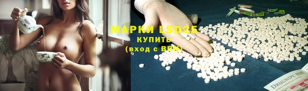 крисы Новокубанск