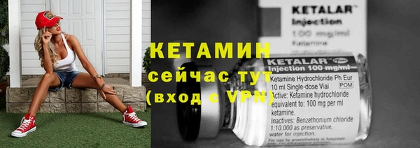 крисы Новокубанск
