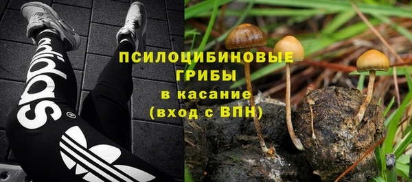 гидра Нягань