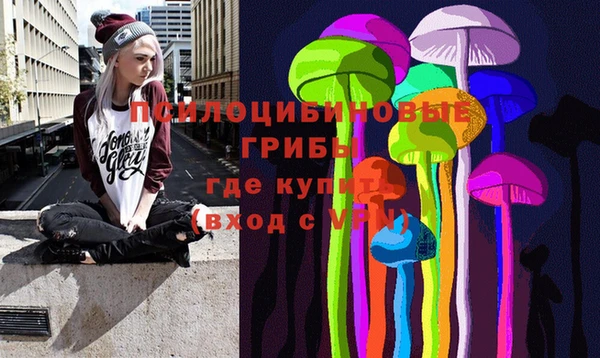 скорость Новодвинск