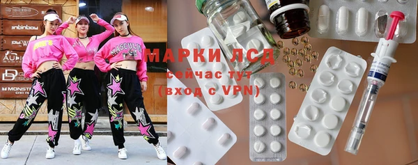 шишки Новозыбков