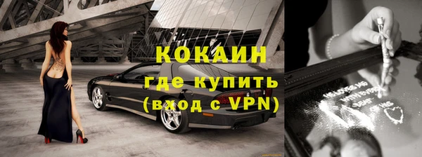 шишки Новозыбков