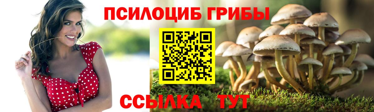 Галлюциногенные грибы GOLDEN TEACHER  Вход с VPN  Кировск 